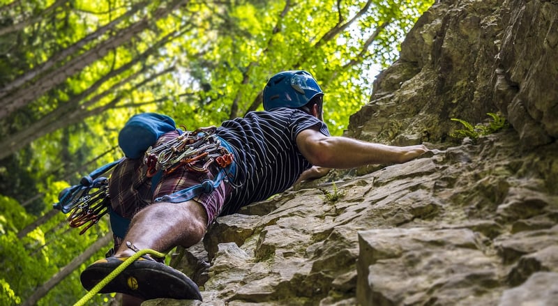 Persistence and Resilience